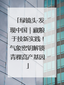 绿镜头·发现中国｜藏粮于技新实践！气象密钥解锁青稞高产基因