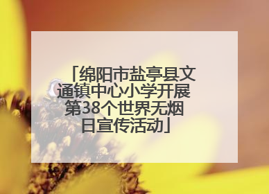 绵阳市盐亭县文通镇中心小学开展第38个世界无烟日宣传活动
