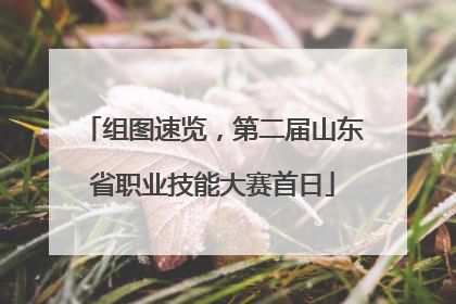 组图速览，第二届山东省职业技能大赛首日