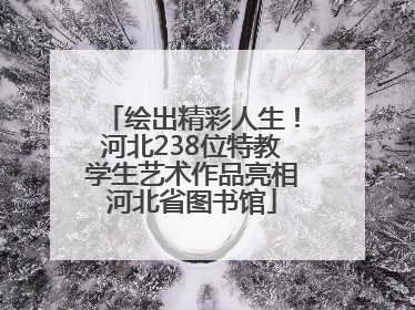绘出精彩人生！河北238位特教学生艺术作品亮相河北省图书馆