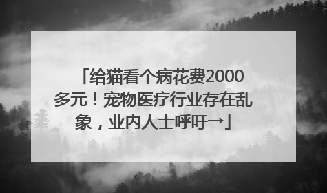 给猫看个病花费2000多元！宠物医疗行业存在乱象，业内人士呼吁→