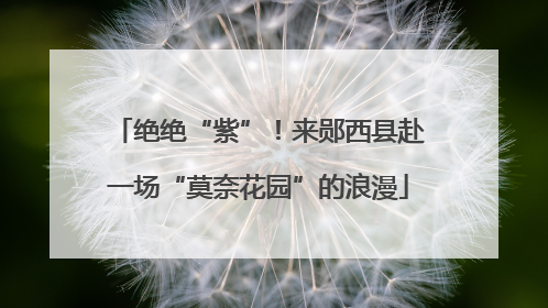 绝绝“紫”！来郧西县赴一场“莫奈花园”的浪漫