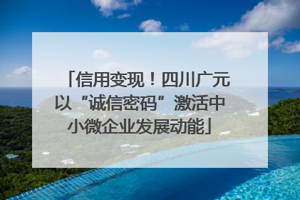 信用变现！四川广元以“诚信密码”激活中小微企业发展动能