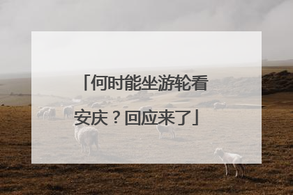 何时能坐游轮看安庆？回应来了