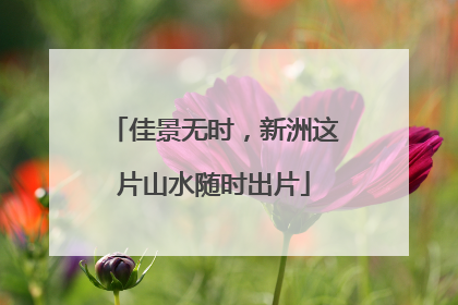 佳景无时，新洲这片山水随时出片