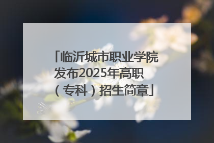 临沂城市职业学院发布2025年高职（专科）招生简章