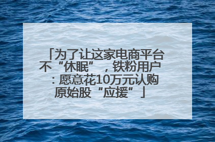为了让这家电商平台不“休眠”，铁粉用户：愿意花10万元认购原始股“应援”
