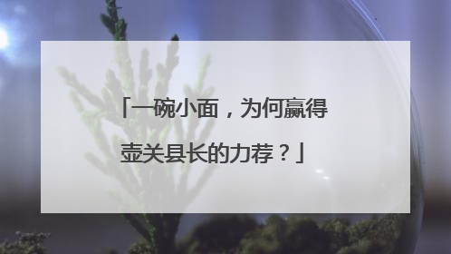 一碗小面，为何赢得壶关县长的力荐？