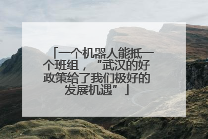 一个机器人能抵一个班组，“武汉的好政策给了我们极好的发展机遇”