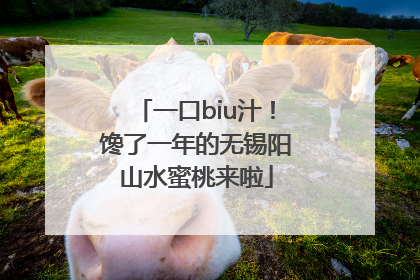 一口biu汁！馋了一年的无锡阳山水蜜桃来啦
