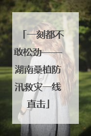 一刻都不敢松劲——湖南桑植防汛救灾一线直击