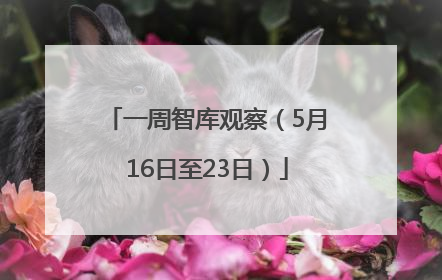 一周智库观察（5月16日至23日）