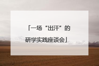 一场“出汗”的研学实践座谈会