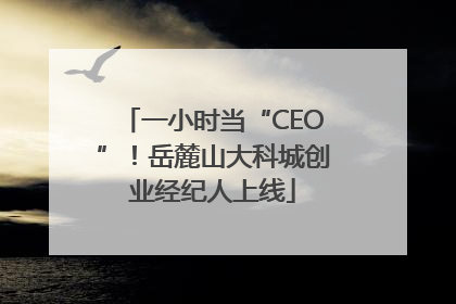一小时当“CEO”！岳麓山大科城创业经纪人上线