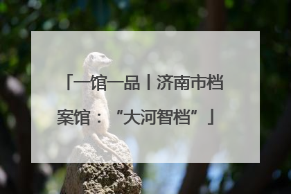一馆一品丨济南市档案馆：“大河智档”