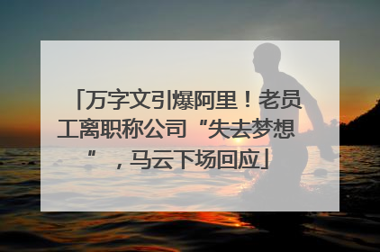 万字文引爆阿里！老员工离职称公司“失去梦想”，马云下场回应