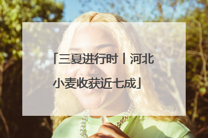 三夏进行时丨河北小麦收获近七成
