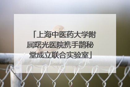 上海中医药大学附属曙光医院携手鹊秘堂成立联合实验室