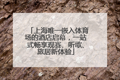 上海唯一嵌入体育场的酒店启幕，一站式畅享观赛、听歌、旅居新体验