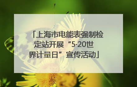 上海市电能表强制检定站开展“5·20世界计量日”宣传活动