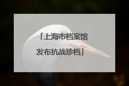 上海市档案馆发布抗战珍档