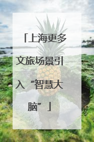 上海更多文旅场景引入“智慧大脑”