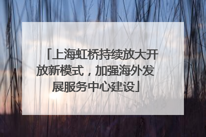 上海虹桥持续放大开放新模式，加强海外发展服务中心建设