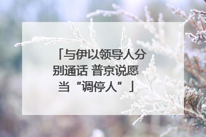 与伊以领导人分别通话 普京说愿当“调停人”