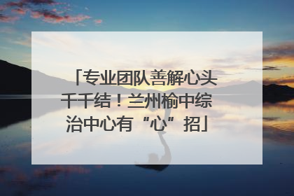 专业团队善解心头千千结！兰州榆中综治中心有“心”招