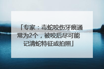 专家：毒蛇咬伤牙痕通常为2个，被咬后尽可能记清蛇特征或拍照