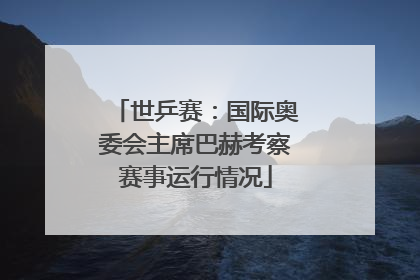 世乒赛：国际奥委会主席巴赫考察赛事运行情况