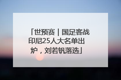 世预赛｜国足客战印尼25人大名单出炉，刘若钒落选