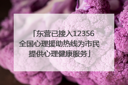 东营已接入12356全国心理援助热线为市民提供心理健康服务