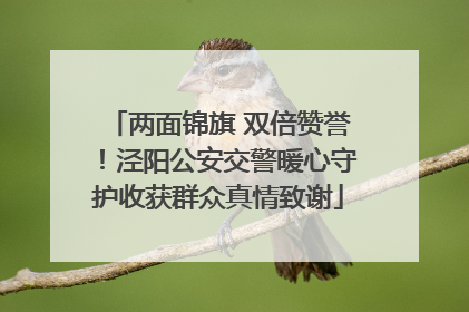 两面锦旗 双倍赞誉！泾阳公安交警暖心守护收获群众真情致谢