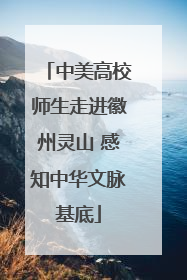 中美高校师生走进徽州灵山 感知中华文脉基底