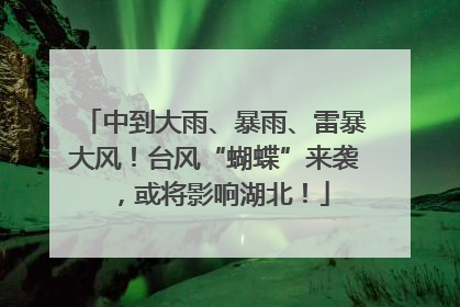 中到大雨、暴雨、雷暴大风！台风“蝴蝶”来袭，或将影响湖北！