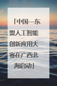 中国—东盟人工智能创新应用大赛在广西北海启动