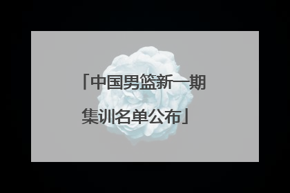 中国男篮新一期集训名单公布