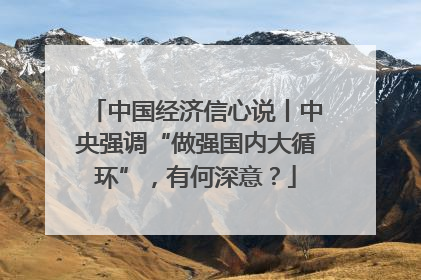 中国经济信心说丨中央强调“做强国内大循环”，有何深意？