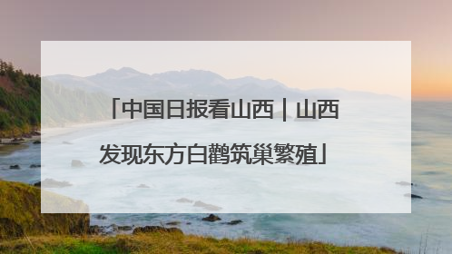 中国日报看山西｜山西发现东方白鹳筑巢繁殖