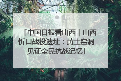 中国日报看山西｜山西忻口战役遗址：黄土窑洞见证全民抗战记忆
