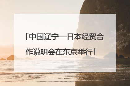中国辽宁—日本经贸合作说明会在东京举行