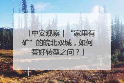 中安观察｜“家里有矿”的皖北双城，如何答好转型之问？