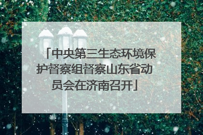 中央第三生态环境保护督察组督察山东省动员会在济南召开