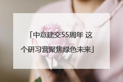 中意建交55周年 这个研习营聚焦绿色未来