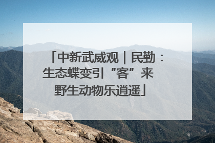 中新武威观｜民勤：生态蝶变引“客”来 野生动物乐逍遥