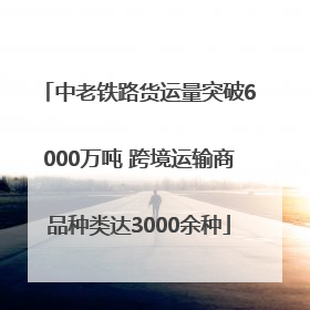 中老铁路货运量突破6000万吨 跨境运输商品种类达3000余种