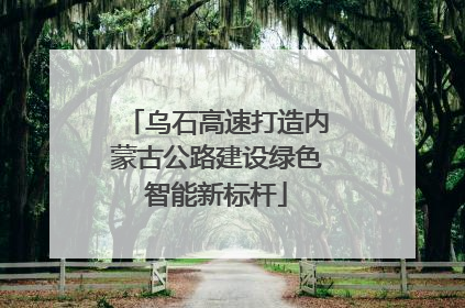 乌石高速打造内蒙古公路建设绿色智能新标杆