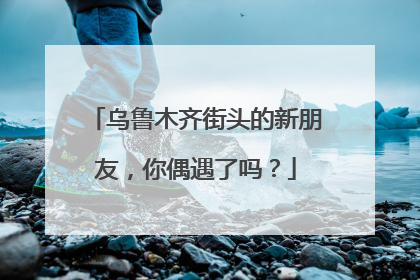 乌鲁木齐街头的新朋友，你偶遇了吗？