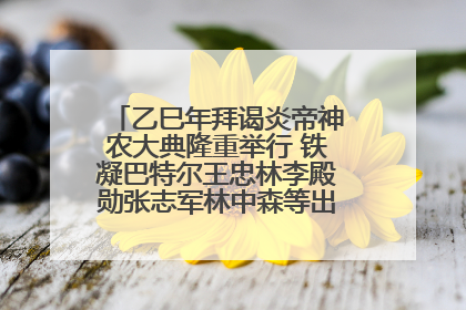 乙巳年拜谒炎帝神农大典隆重举行 铁凝巴特尔王忠林李殿勋张志军林中森等出席 孙伟主持